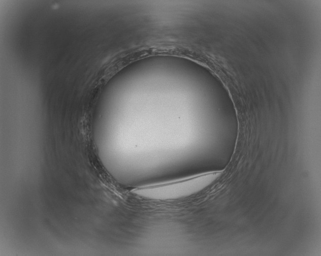 X0000073391445200607280857