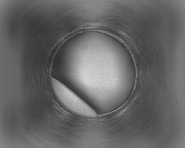 X0000073391449200607280857