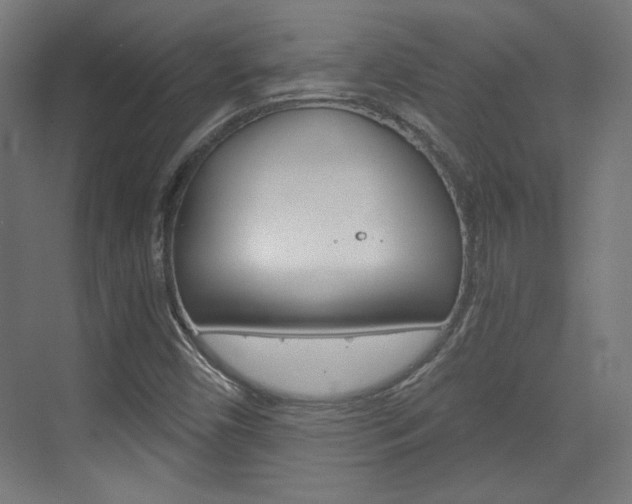 X0000073391450200607280857