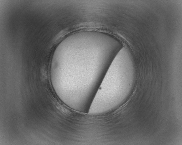 X0000073391451200607280857