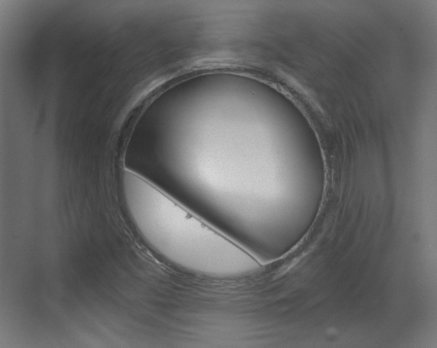 X0000073391453200607280857