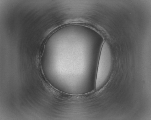 X0000073391457200607280856