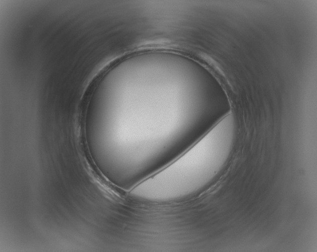 X0000073391458200607280856