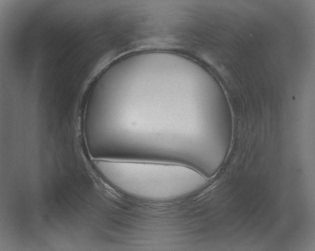 X0000073391459200607280856