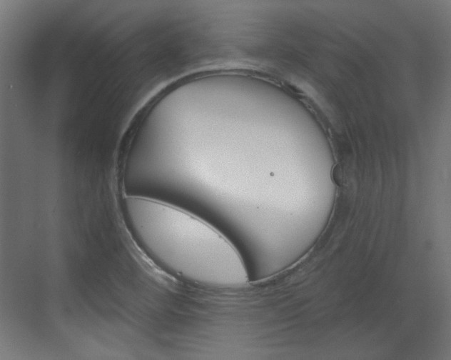 X0000073391460200607280856