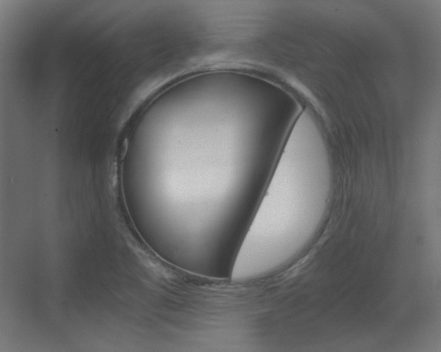 X0000073391461200607280856