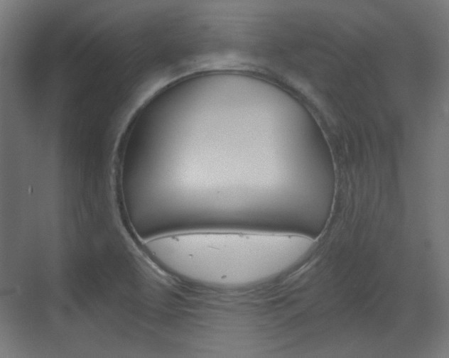 X0000073391463200607280856