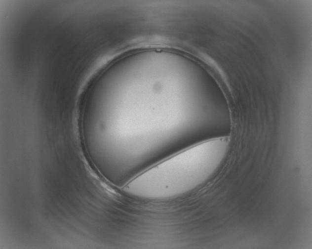 X0000073391464200607280856