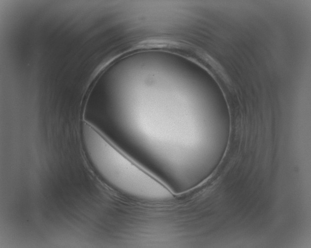 X0000073391465200607280856