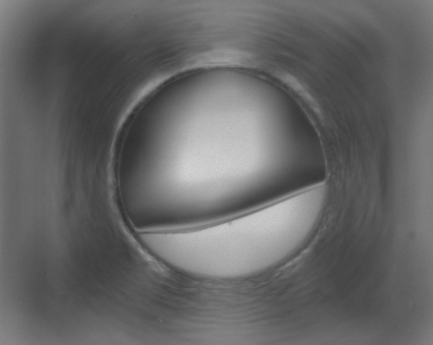 X0000073391469200607280856