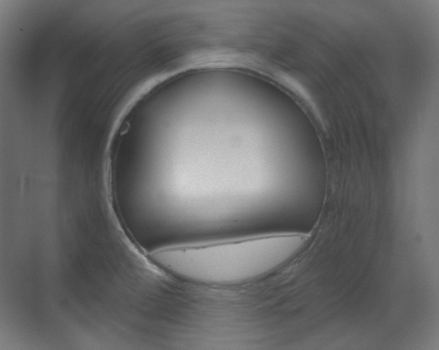 X0000073391472200607280856