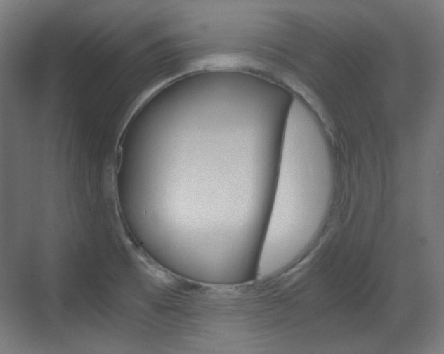 X0000073391473200607280856