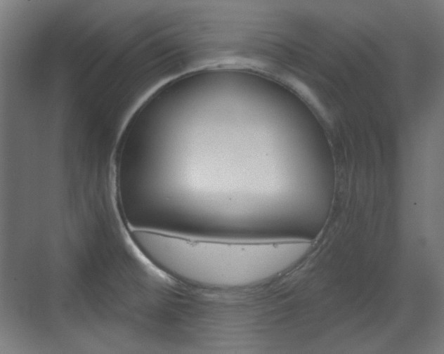 X0000073391476200607280856