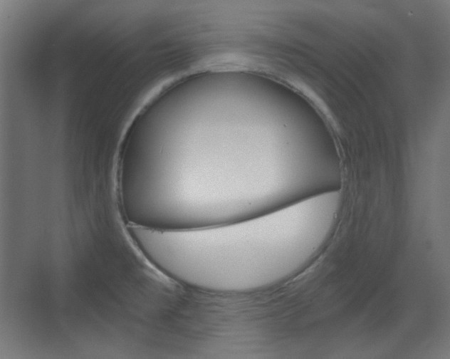 X0000073391477200607280856