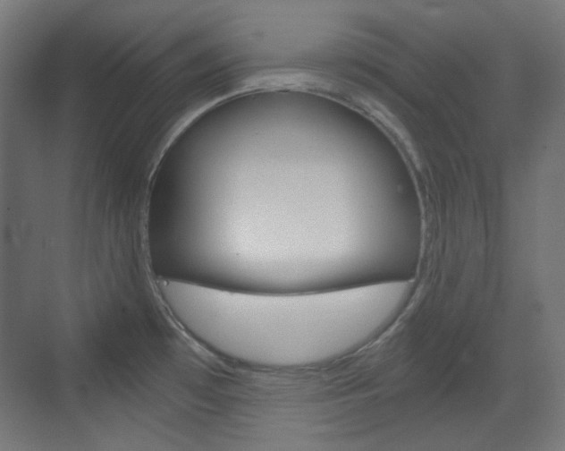X0000073391481200607280856