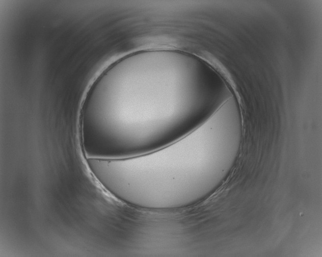 X0000073391488200607280856