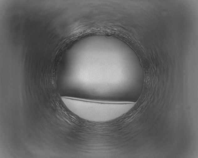 X0000073391490200607280855