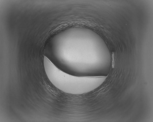 X0000073391491200607280855
