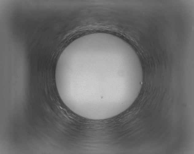 X0000073391492200607280855