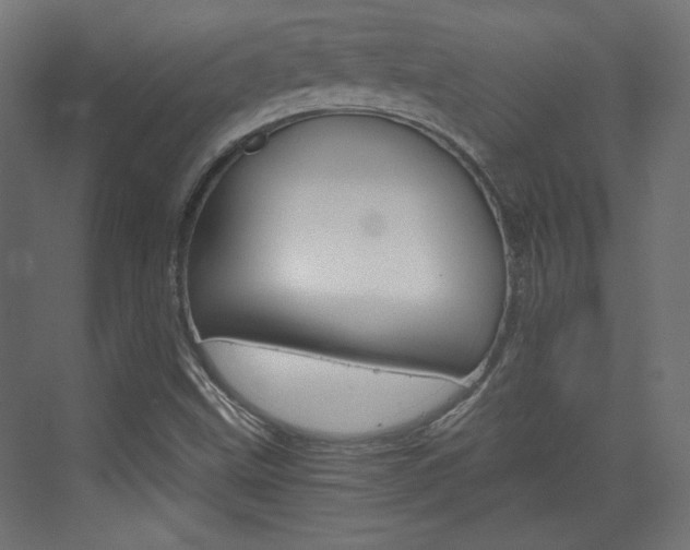 X0000073391499200607280855