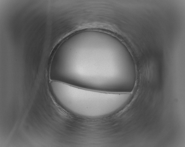 X0000073391505200607280855