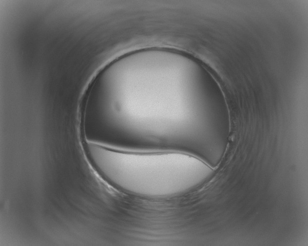 X0000073391508200607280855