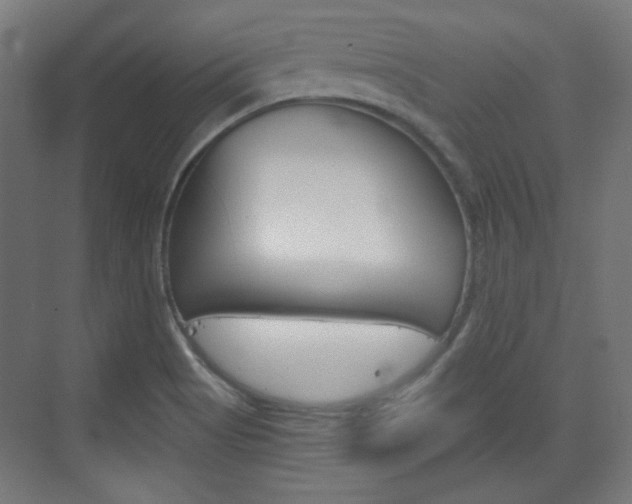 X0000073391513200607280856