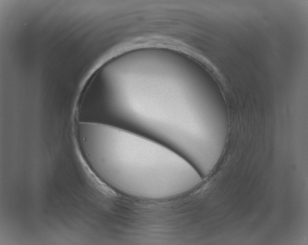 X0000073391522200607280856