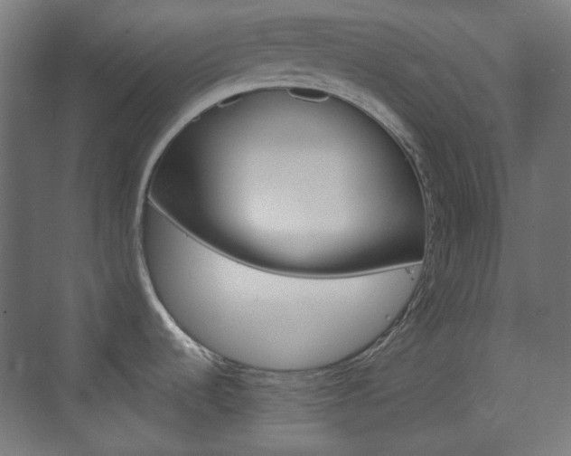 X0000073391536200607280856