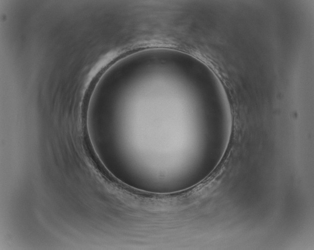 X0000073390008200607281111