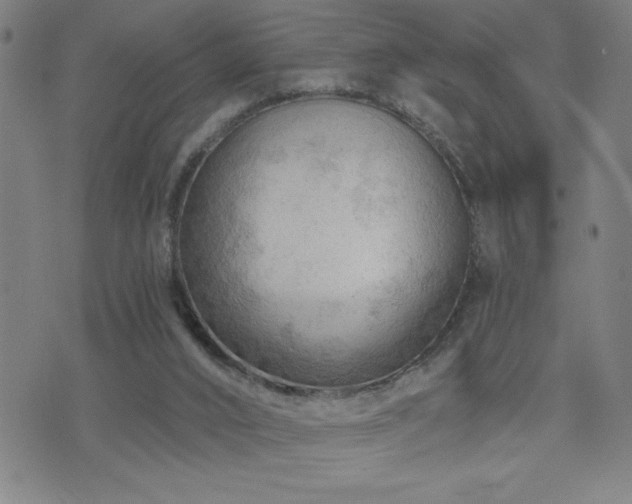 X0000073390016200607281111