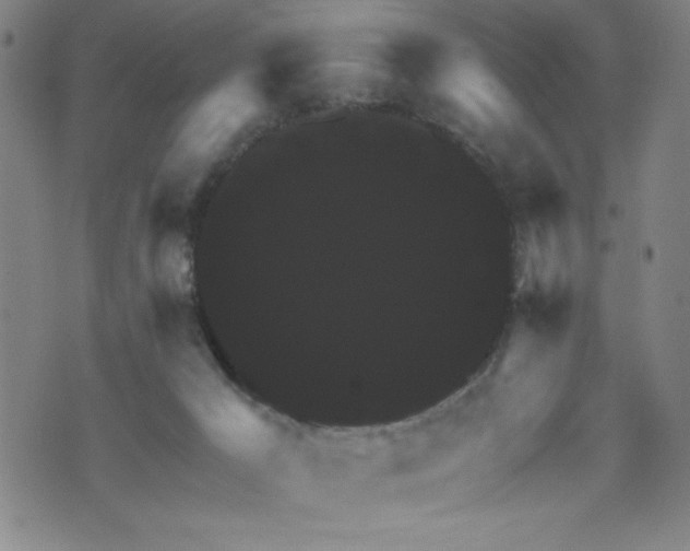 X0000073390029200607281111