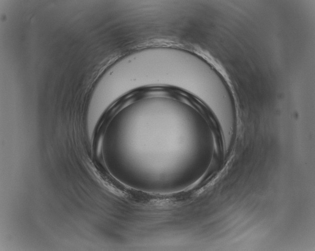 X0000073390057200607281110