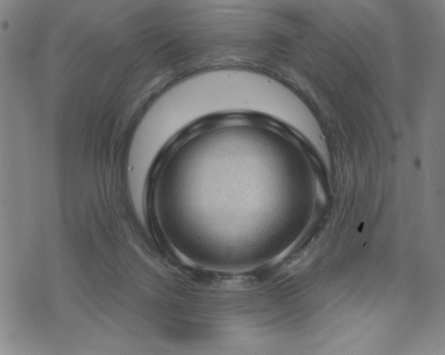 X0000073390072200607281110