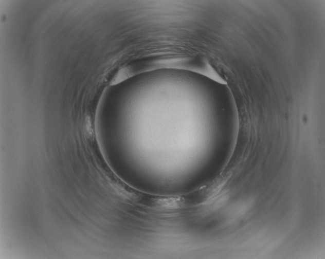 X0000073390089200607281110