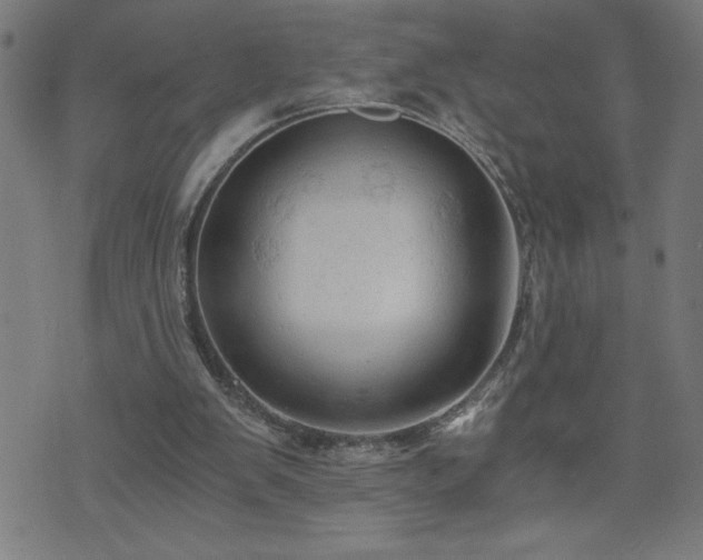 X0000073390103200607281109