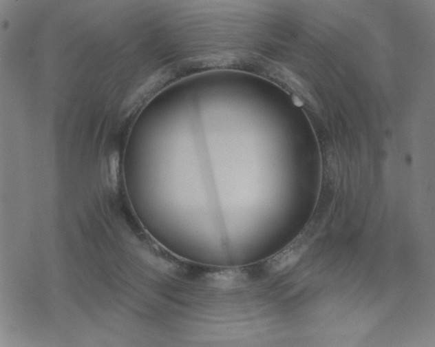 X0000073390118200607281109