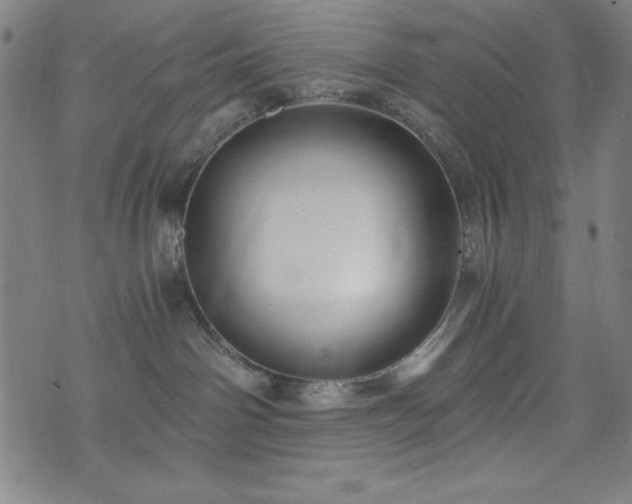 X0000073390142200607281109