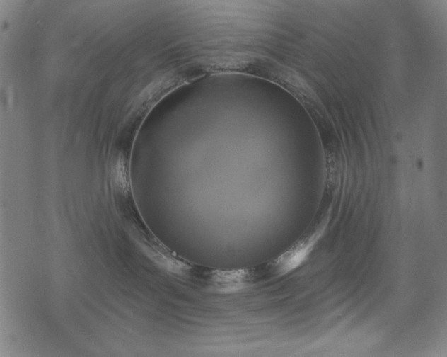 X0000073390143200607281109