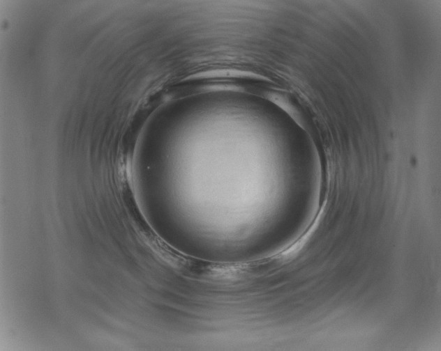 X0000073390190200607281109