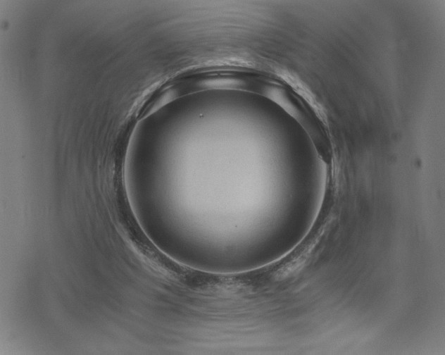 X0000073390201200607281108