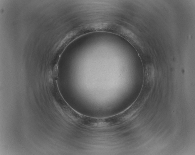 X0000073390212200607281108