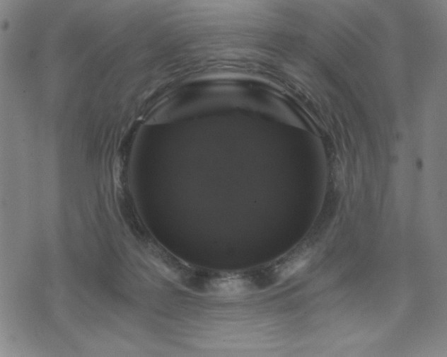 X0000073390219200607281108