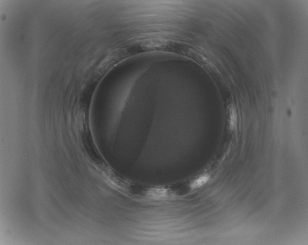 X0000073390227200607281107