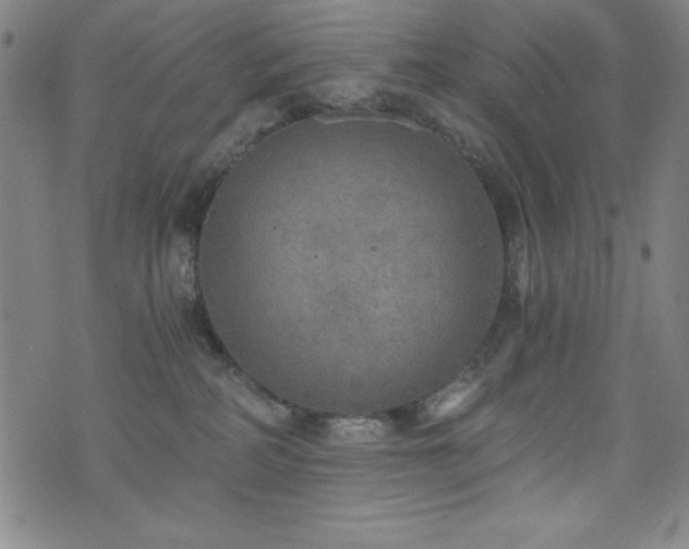 X0000073390234200607281107