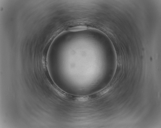 X0000073390238200607281107