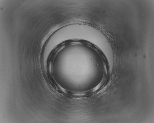 X0000073390244200607281106