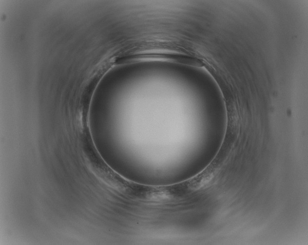 X0000073390262200607281107