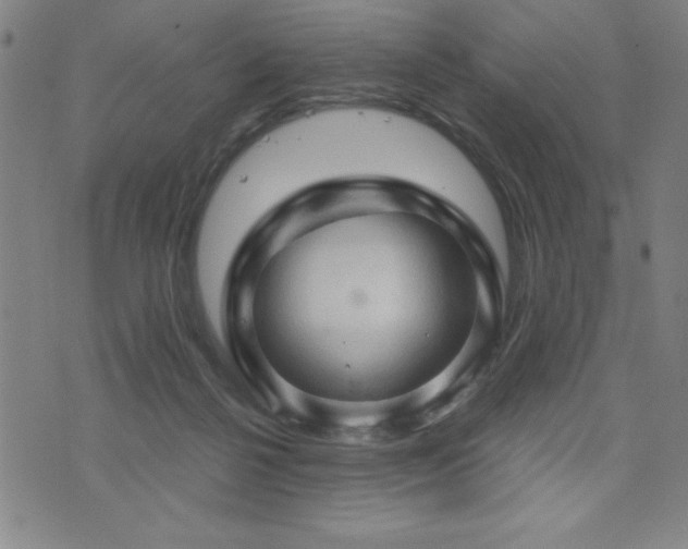 X0000073390264200607281107