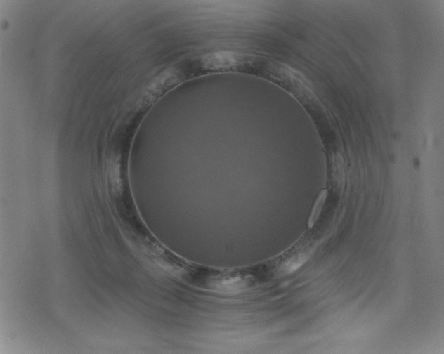 X0000073390267200607281107